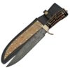 Stag Handle Damascus Hunting Knife