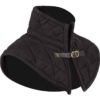 Brass Buckle Padded Collar - Black