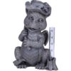 Garden Dragon Rain Gauge