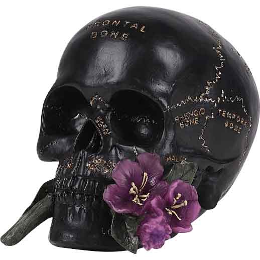 Black Anatomy Skull with Flower Statue