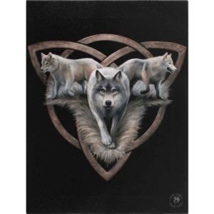 Wolf Trio Canvas Print by Anne Stokes