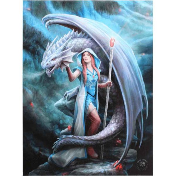 Dragon Mage Canvas Print by Anne Stokes