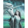 North Star Canvas Print by Anne Stokes