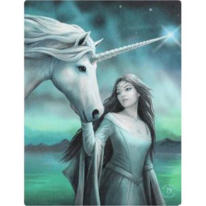 North Star Canvas Print by Anne Stokes