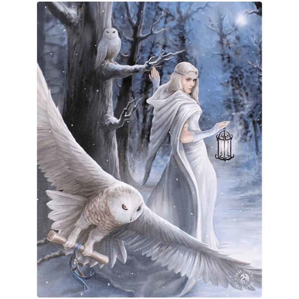 Midnight Messenger Canvas Print by Anne Stokes