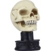 Miniature Yorick Skull Statue