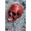 Red Foam Skull Prop