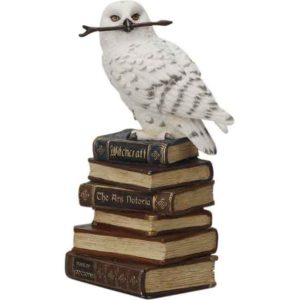 Snowy Owl on Book Statue