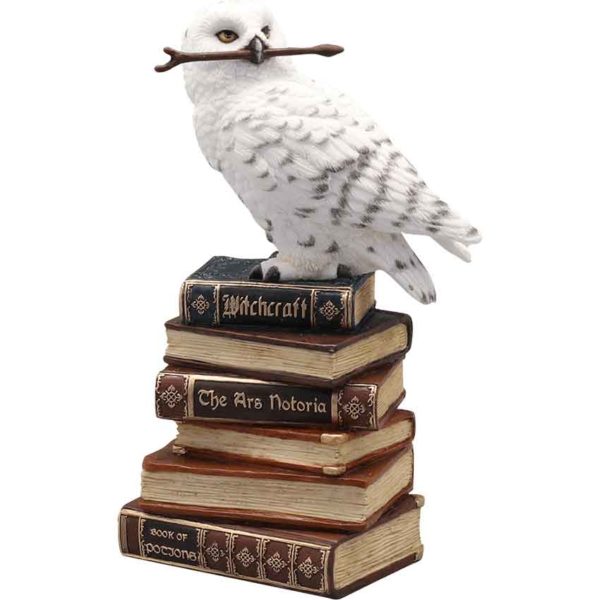 Snowy Owl on Book Statue