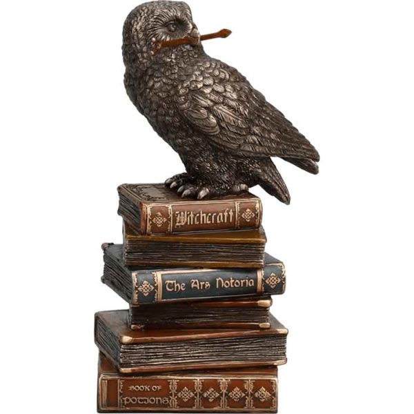 Bronze Snowy Owl on Books Statue