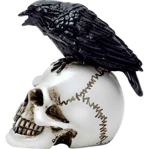 Mini Raven on Skull