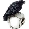 Mini Raven on Skull