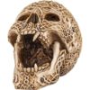 Fanged Celtic Skull