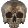 Antiqued Golden Skull