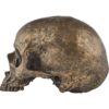 Antiqued Golden Skull