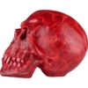 Blood Red Vampire Skull