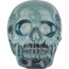 Translucent Blue Skull