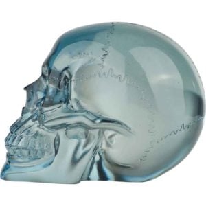 Translucent Blue Skull