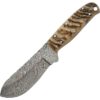Ram Horn Damascus Skinner Knife