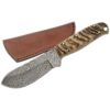 Ram Horn Damascus Skinner Knife