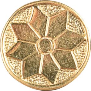 Brass Star Button
