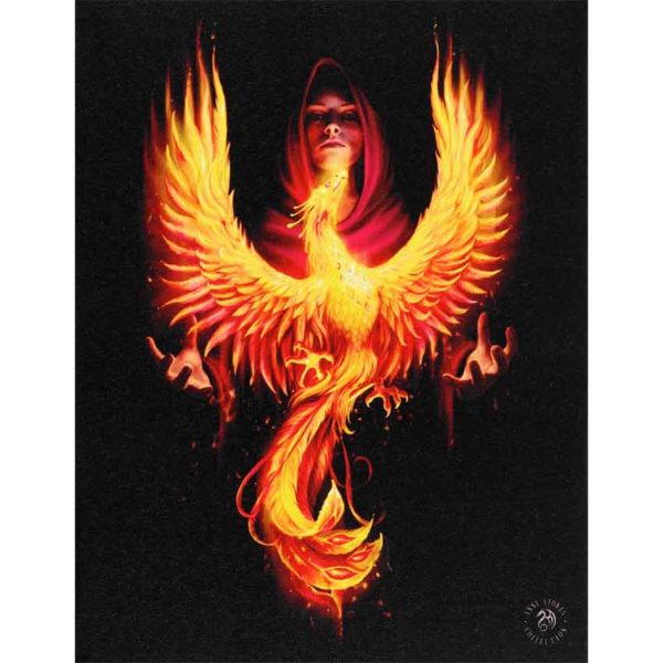 Phoenix Rising Canvas Print by Anne Stokes
