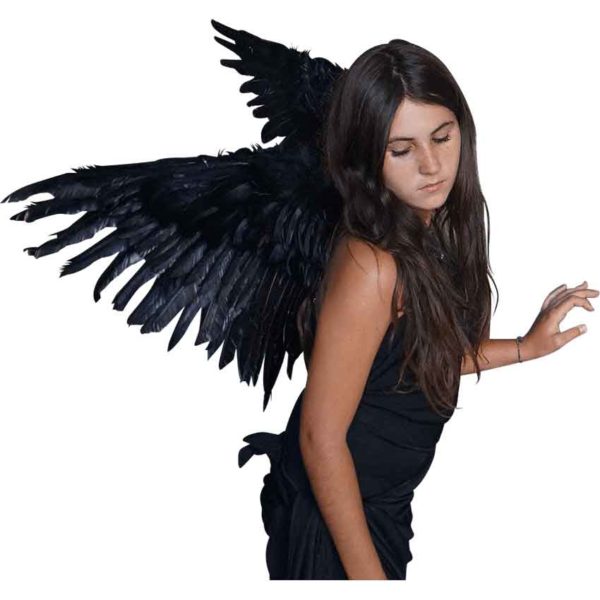 Black Mockingbird Wings
