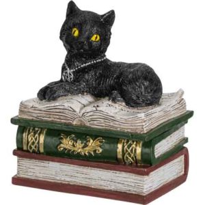 Black Cat on Books Trinket Box