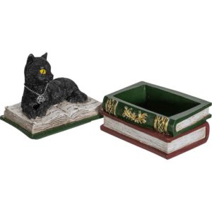 Black Cat on Books Trinket Box