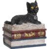 Black Cat Laying on Books Trinket Box