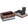 Black Cat Laying on Books Trinket Box
