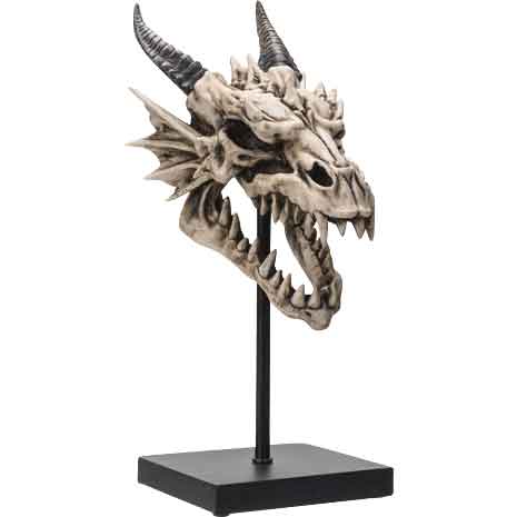 Dragon Skull Statue and Display Stand