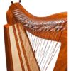 38 String Cross-Strung Caitlin Harp