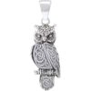 Celtic Horned Owl 3D Pendant