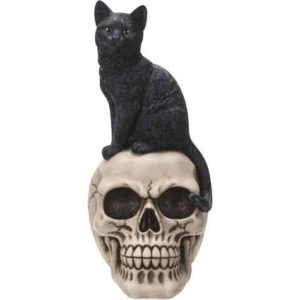 Black Cat on Skull Statue