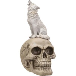 White Wolf on Skull Statue