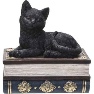Black Kitten on Books Trinket Box