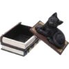 Black Kitten on Books Trinket Box