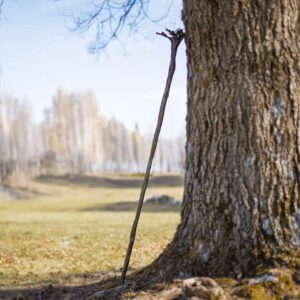 Gandalf's Moria Staff