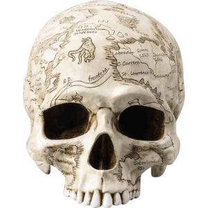 Craniumography Natural Skull Map Statue