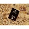 Jolly Roger Bicycle Playing Cards