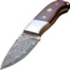 Folded Steel Rosewood Hunter Knife
