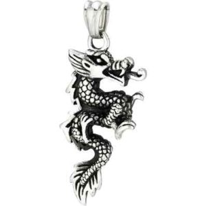 Fierce Dragon Steel Pendant