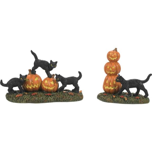 Scary Cats Pumpkins Set of 2 - Halloween Village Accessories by Department 56