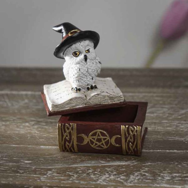 Owl on Spell Book Trinket Box