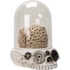 Skull and Brains LED Statue