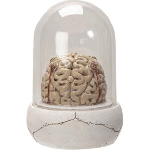 Skull and Brains LED Statue