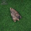 Primitive Stone Narrow Hunting Arrowhead