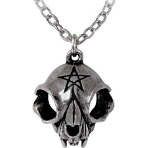 My Forever Friend Skull Necklace