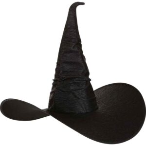 Big Brim Witch Hat